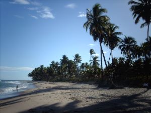 Pousada Rancho Fundo