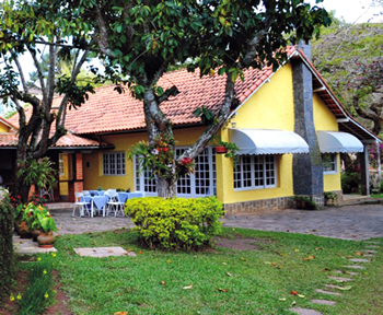 Casa Do Ip Amarelo