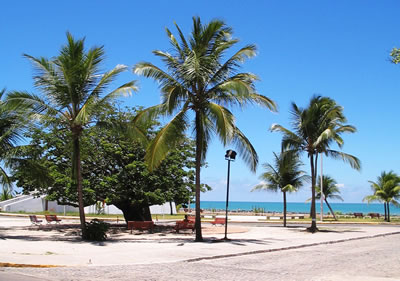 Pousada Baobá