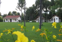 Hotel Fazenda Vovó Naná