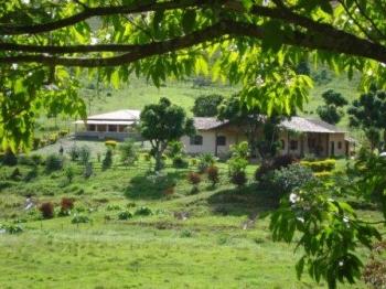 Pousada Fazenda Polyanna