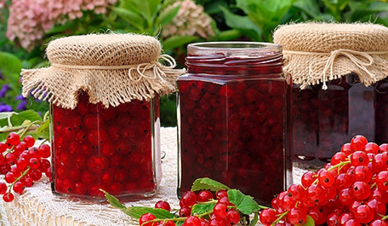 HOTEL POUSADA TOBIAS