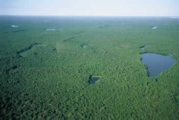 Amazon Araguaia Lodge