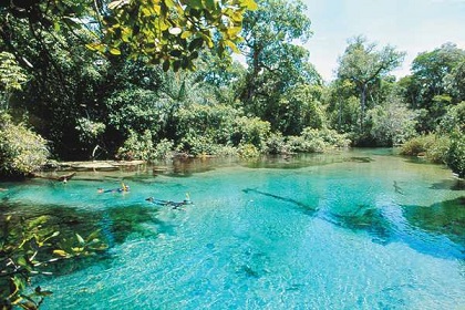 Hotéis e Pousadas em Mato Grosso do Sul